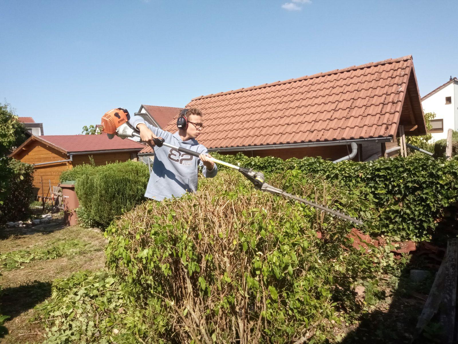 Jeremy Bradley beim Heckenschnitt mit Stihl-Teleskop-Heckenschneider